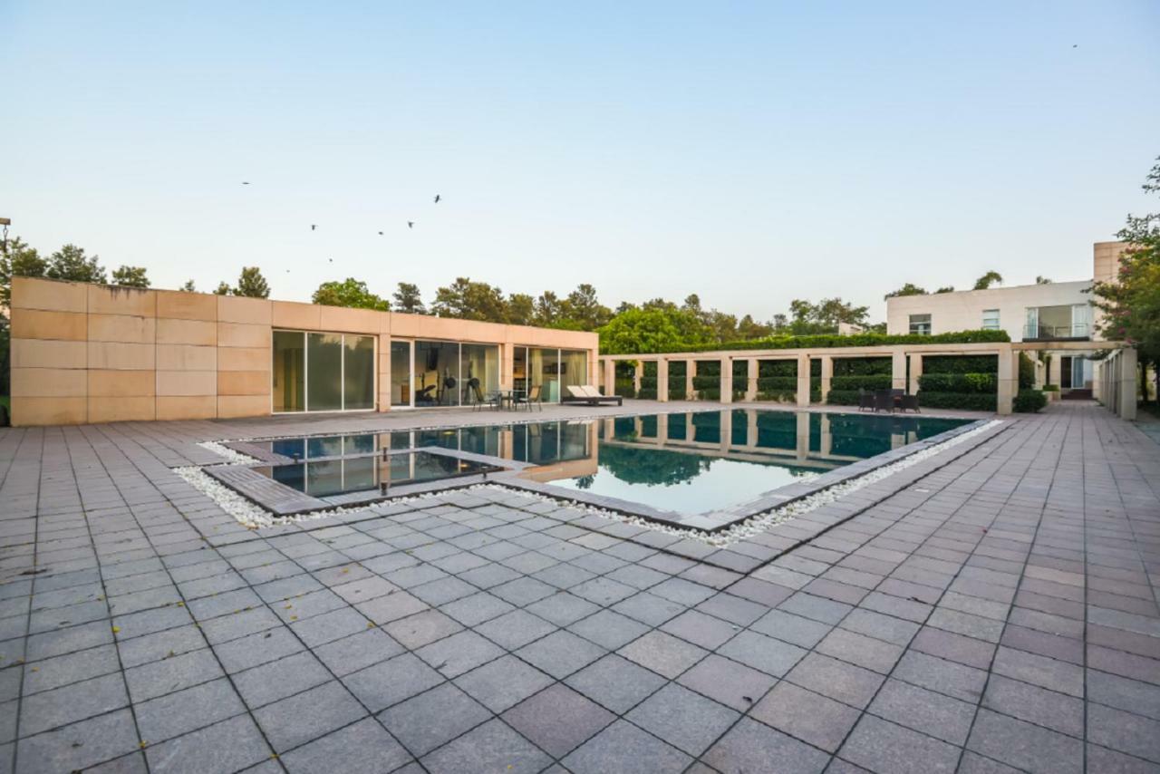 Hostie - The Mango Buddha Luxury Farm
